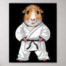 Search for dojo posters Taekwondo