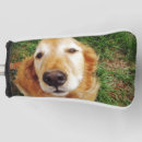Search for golden retriever golf head covers Golfer