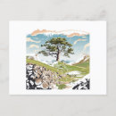 Search for northumberland postcards Nature