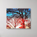 Search for black and white tree canvas prints Winter