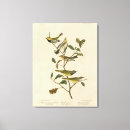 Search for gallery other Colour