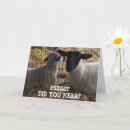 Search for secret friend cards Photography