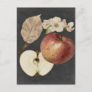 Search for kitchen vertical postcards Food