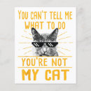 Search for cat advice cards Lover