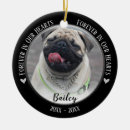 Search for pet memorials In loving memory