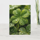 Search for four leaf clover cards Irish