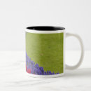 Search for hyacinth mugs Yellow