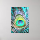 Search for peacock feather canvas prints Colourful