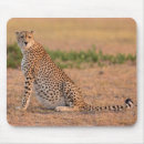 Search for cheetah cat mouse mats Wild animals
