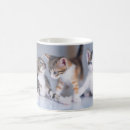 Search for tabby kitten mugs Pet