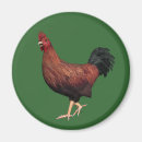Search for rooster magnets Farmer