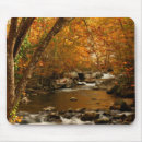 Search for rush mouse mats Forest