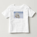 Search for bear island clothing Fauna