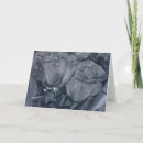 Search for dead rose cards Gothic