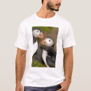 Search for pelagic tshirts Black