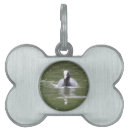 Search for coot Water
