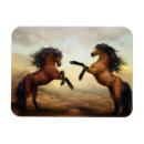 Search for stallion magnets Horses
