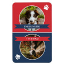 Search for dog fed magnets Puppy