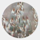 Search for oats stickers Nature