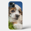 Search for canada ipad cases British columbia