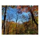 Search for mountains in fall posters Orange