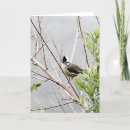 Search for bird lover birthday cards Cute