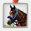 Search for thoroughbred horse christmas tree decorations Equine