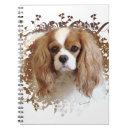Search for cavalier king charles spaniel notebooks Animal