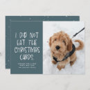 Search for funny photo new years cards Cute