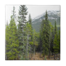 Search for forest scene tiles Trees