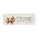 Search for poodle return address labels Puppy