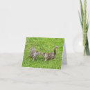 Search for pixelated cards Green