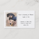 Search for dachshund dog business cards Puppy