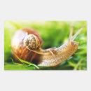 Search for slugs stickers Nature