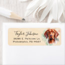 Search for vizsla return address labels Dog