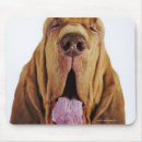 Search for hubert mouse mats Bloodhound