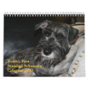 Search for schnauzer calendars Standard