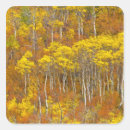 Search for aspen grove stickers Montana