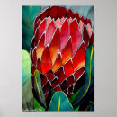 Search for protea posters Floral