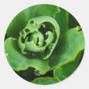 Search for up close stickers Botanical