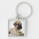 Search for great dane key rings Nature