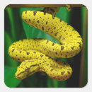 Search for green snake stickers Animal