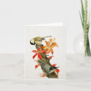 Search for nuthatch cards Vintage