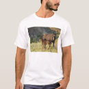 Search for theodore roosevelt tshirts Nature