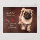 Search for pug puppies postcards Dog