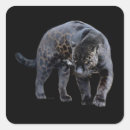 Search for black jaguars stickers Leopard