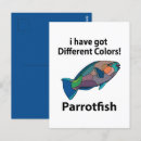 Search for coral reef life postcards Tropical