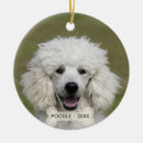 Search for poodle christmas tree decorations Animals