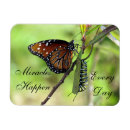 Search for miracles magnets Nature