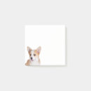 Search for pembroke corgi post it notes Dog